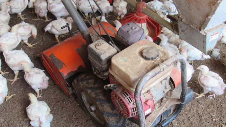 Imagem Área Agrícola para Venda em Concórdia, Linha Sertão