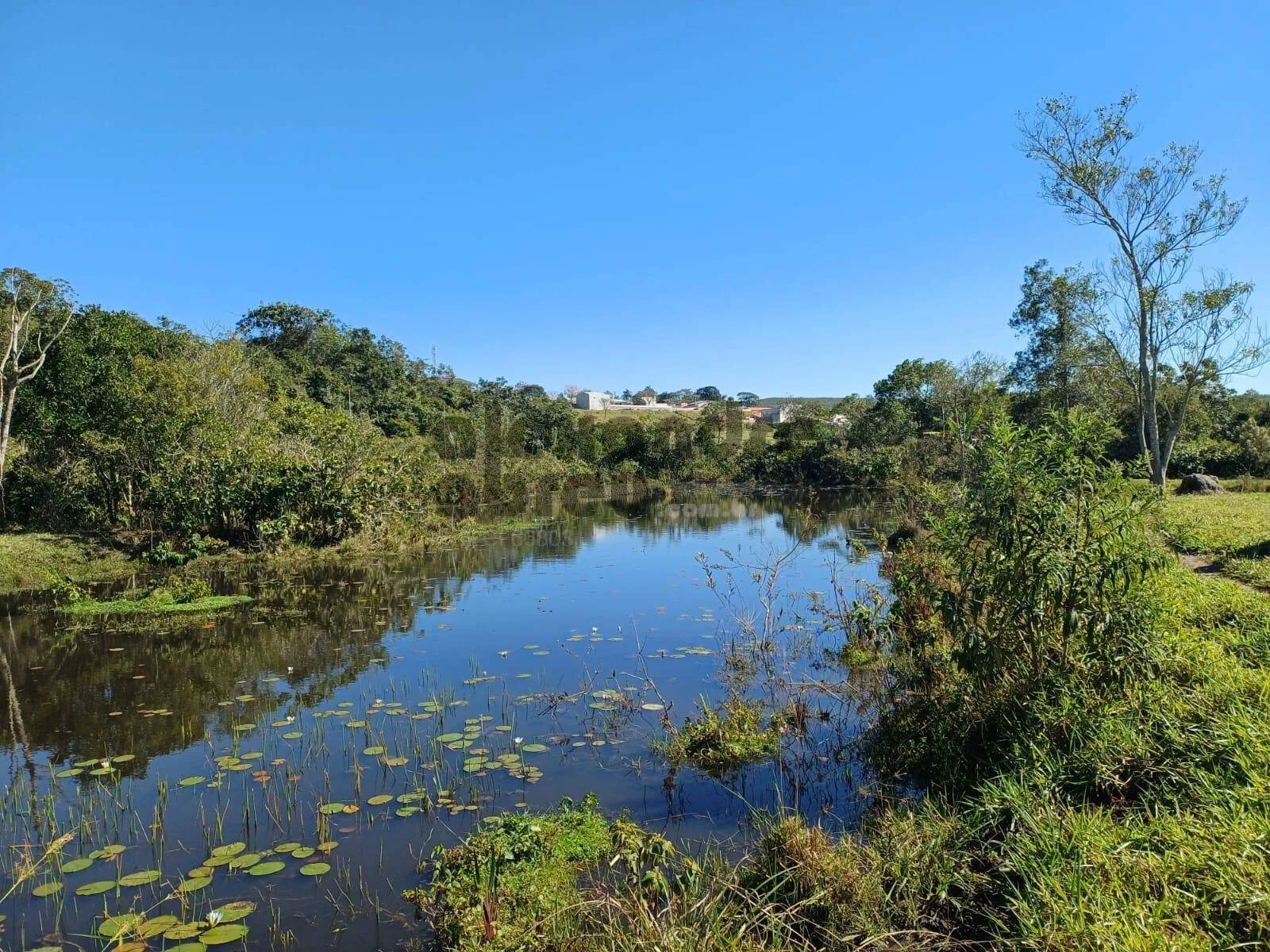 Imagem Sitio com terreno de 4 alqueires ou 96.800 m² à venda