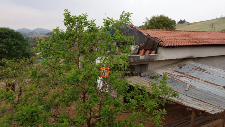Imagem Chácara com 1 dormitório à venda, 12750 m² por R$ 750.000,00 - Toledo - Toledo/MG