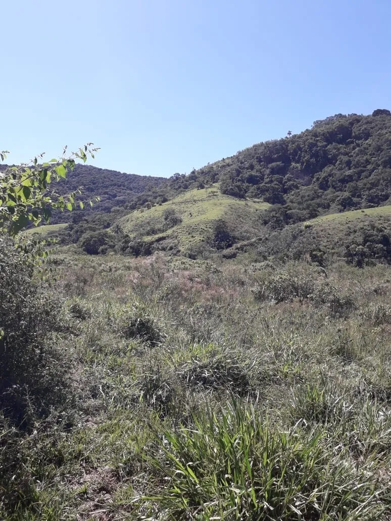 Imagem Chácara para Locação 840000M², Mandú, Pindamonhangaba - SP