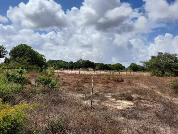 Imagem Granja para Venda em Macaíba, Centro