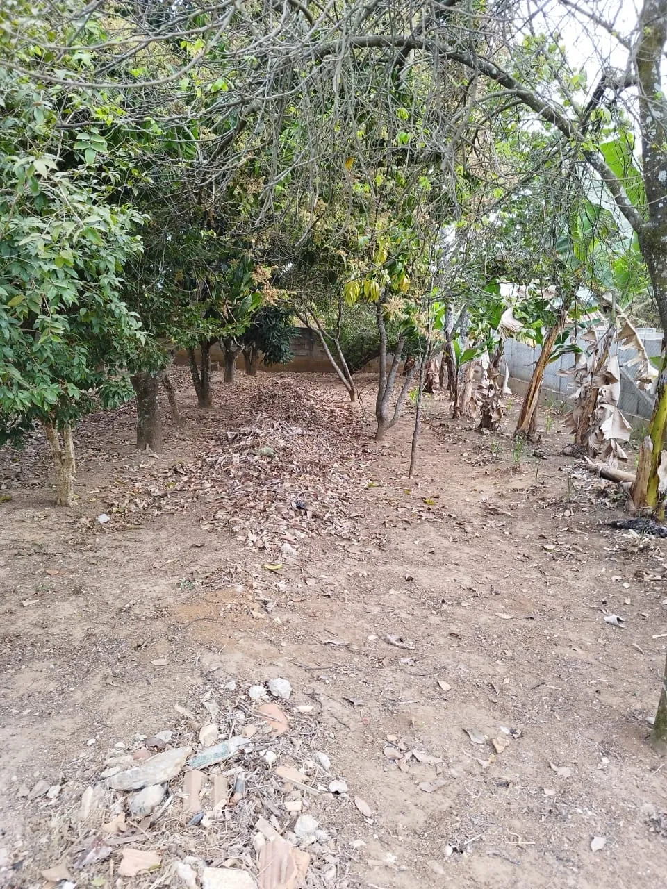 Imagem Chácara à venda 1 Quarto, 4 Vagas, Goiabal, Pindamonhangaba - SP