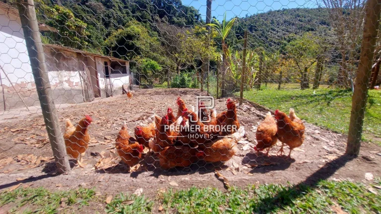 Imagem Sítio à venda, 2000 m² por R$ 840.000,00 - Campo Limpo - Teresópolis/RJ