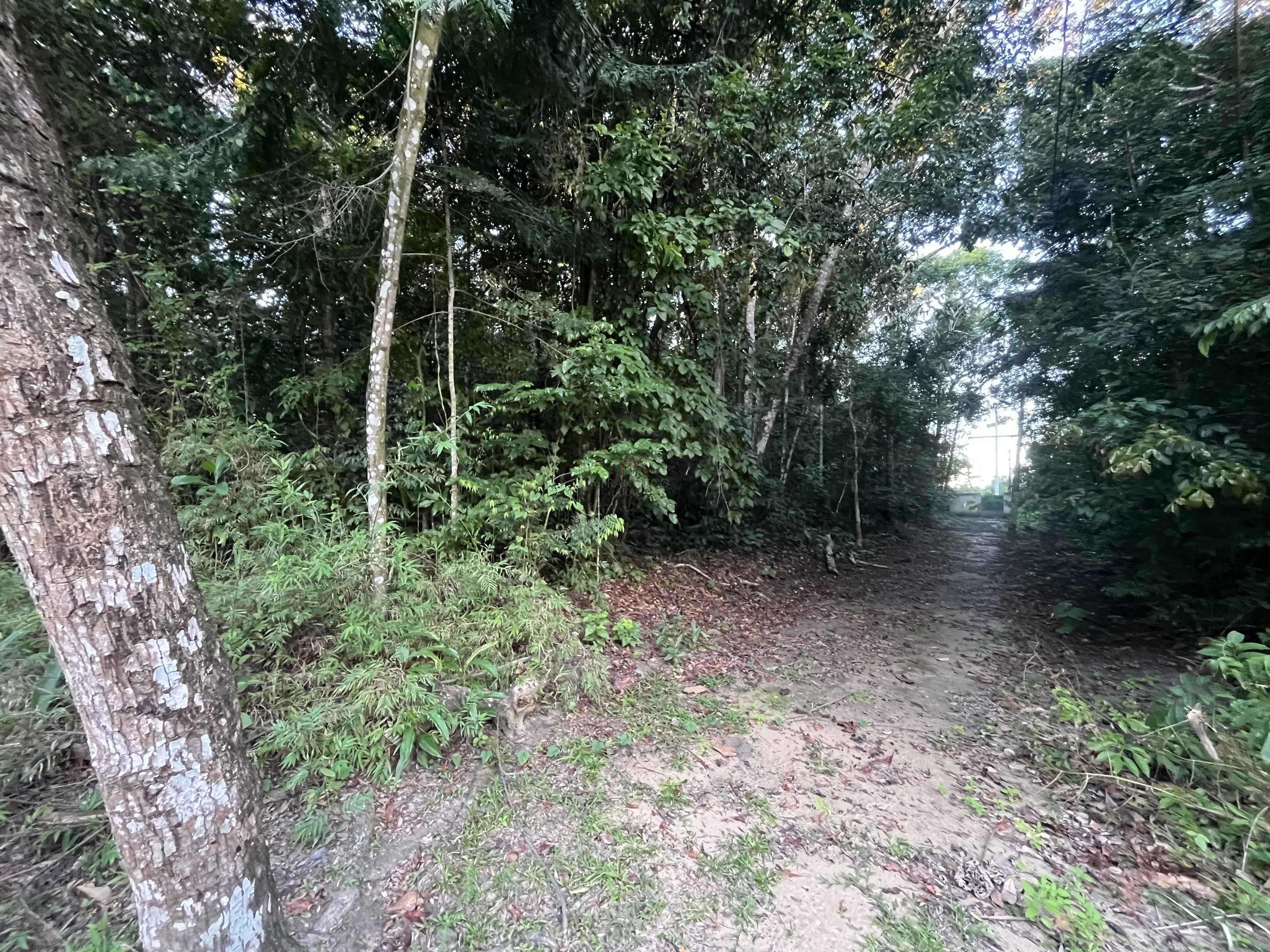 Imagem LOTE À VENDA NO CONDOMÍNIO CHÁCARAS DA LAGOA

Excelente oportunidade para construir sua casa em u...