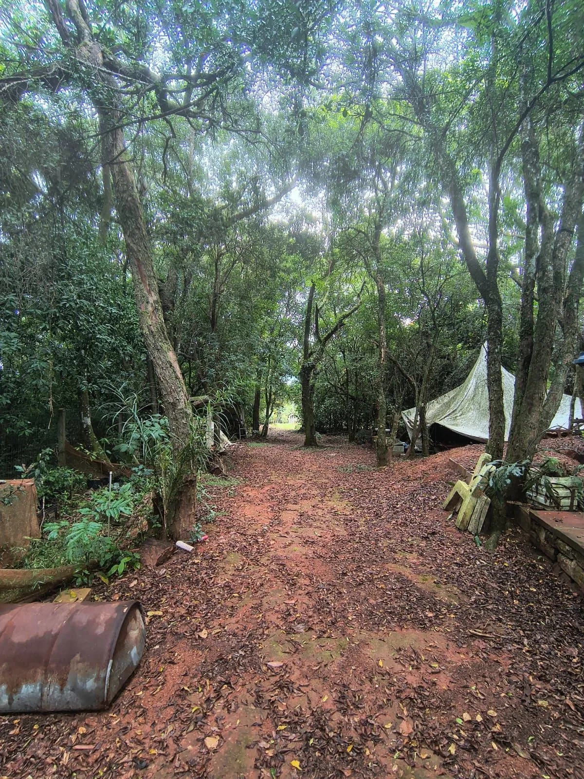 Imagem Casa no Bairro Hipica