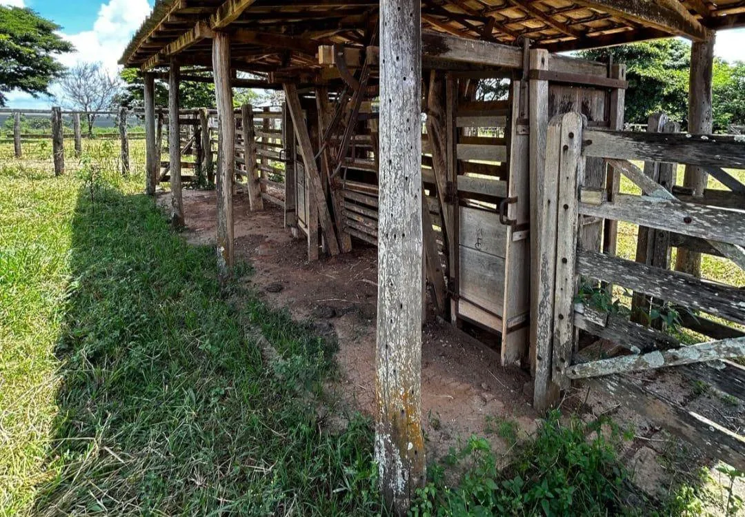 Imagem Vendo uma ótima fazenda em Dores do Indaiá/MG 205 hectares de terra
