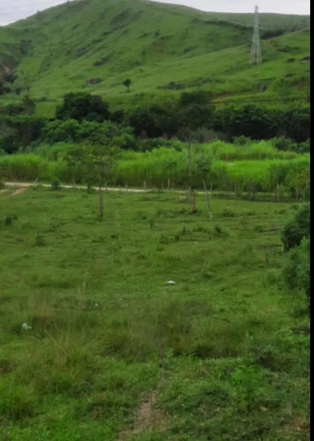 Imagem Terreno à venda 12000M², Centro, Roseira - SP