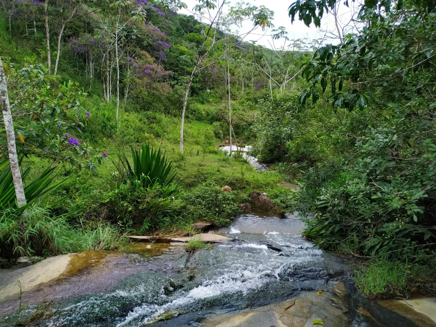 Imagem Chácara à venda 76000M², Ribeirão Grande, Pindamonhangaba - SP