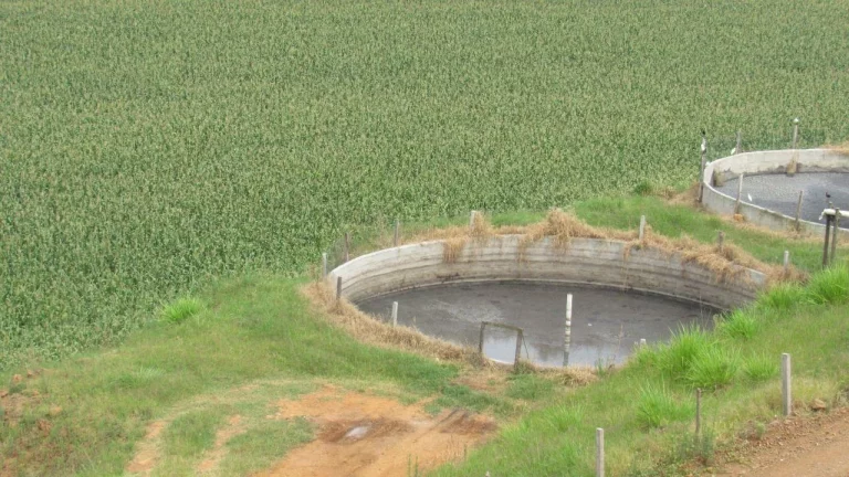Imagem Área Agrícola para Venda em Peritiba, Lageado Mirim