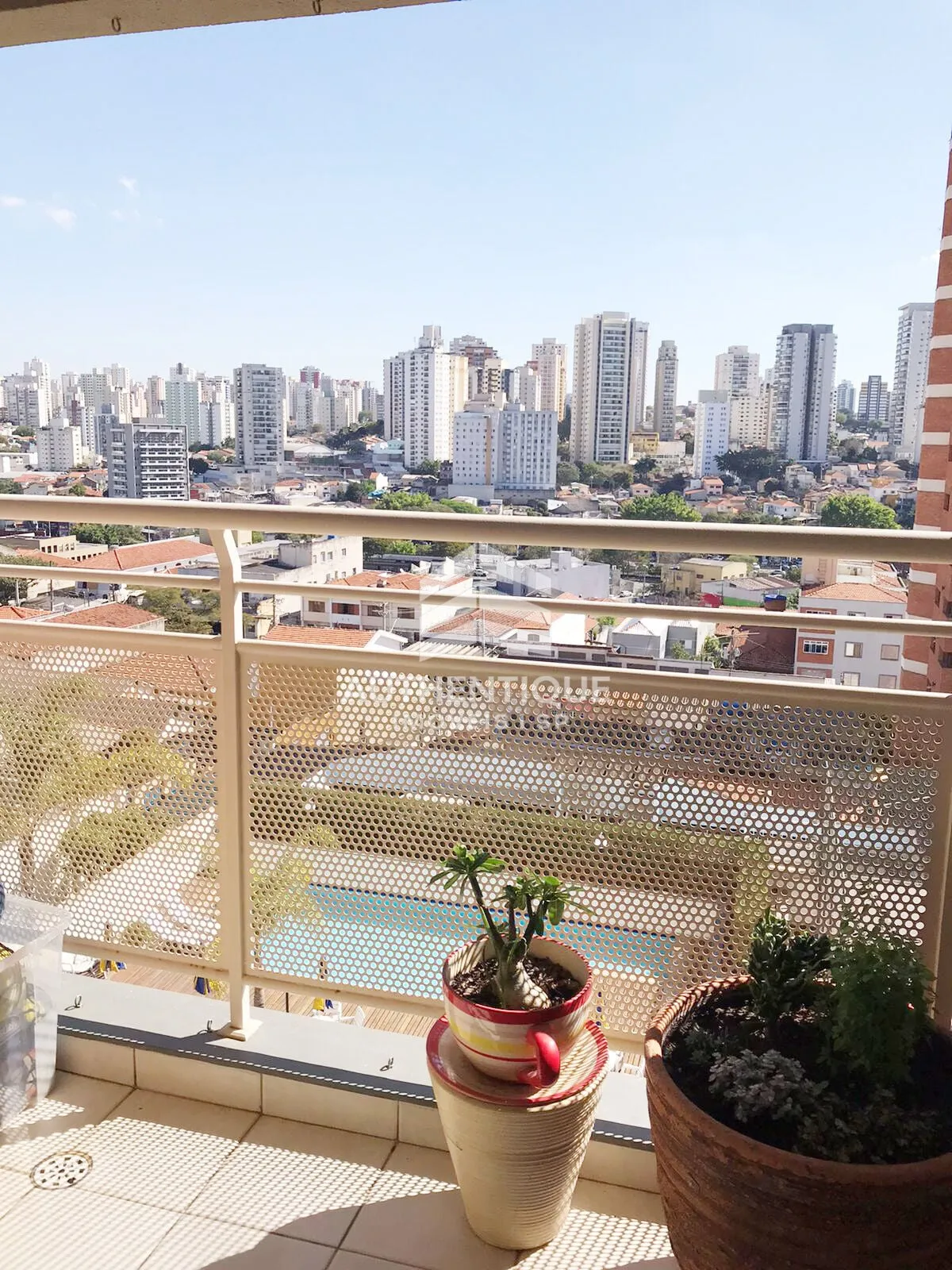 Imagem Alto do Bosque - Bosque da Saúde - Apartamento à venda no bairro Bosque da Saúde - São Paulo/SP, Zona Sul