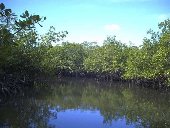 Imagem Ilha São Jerônimo