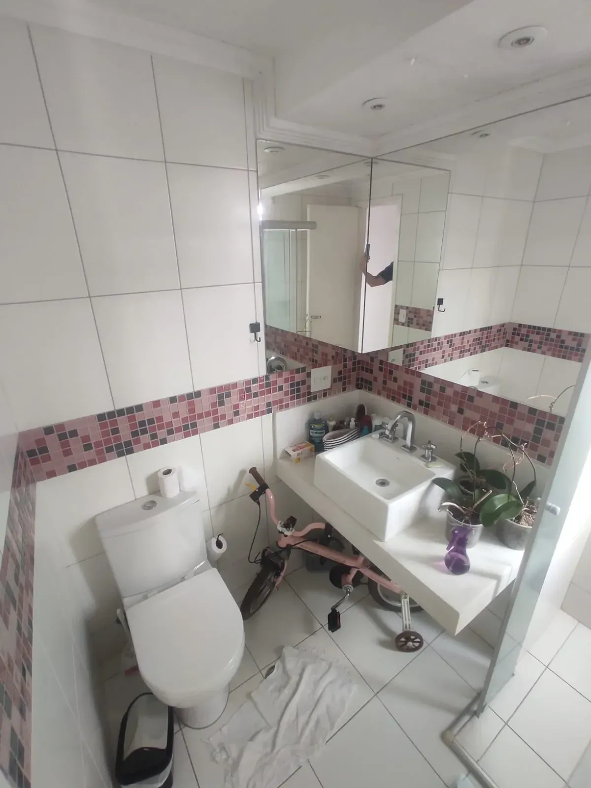 Imagem Apartamento com 3 Quartos à Venda, 65 m² em Nossa Senhora do Ó - São Paulo