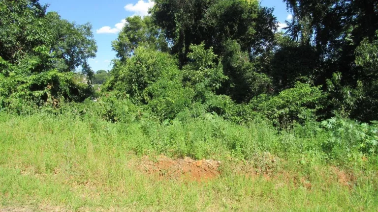 Imagem Terreno para Venda em Concórdia, Jardim