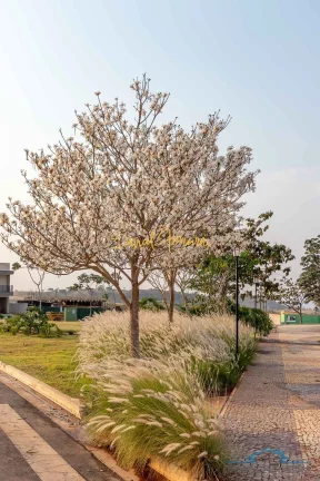 Imagem Lote à venda no Condomínio Alphaville Brasília - Residencial 2