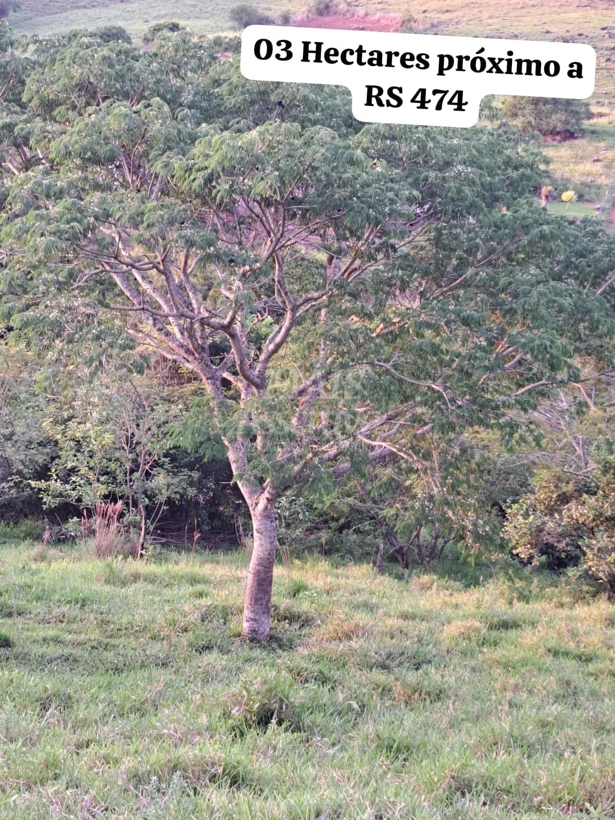 Foto do imóvel Santo Antônio da Patrulha RS - Localidade de Pinheirinhos. R$ 270.300,00 A que busca uma área...