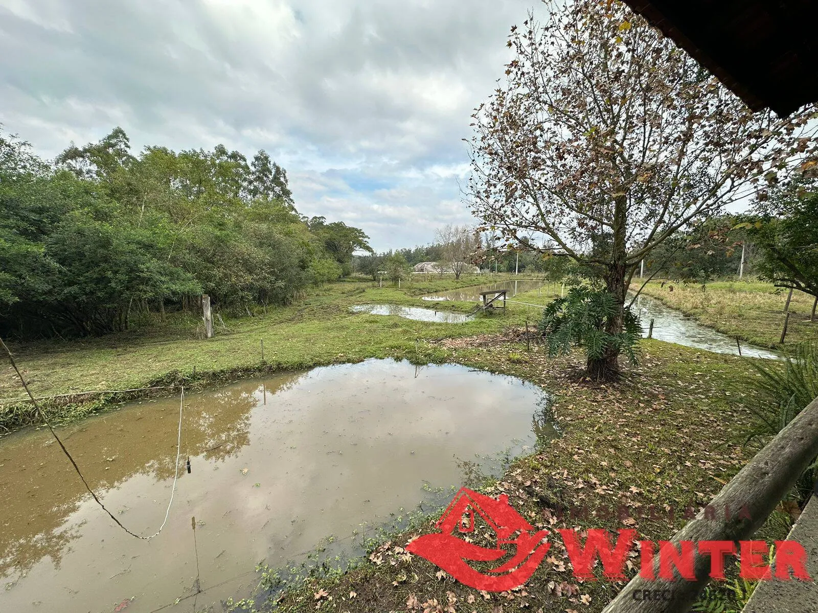 Imagem Chácara com 3,5 hectares com imóvel em Roncador