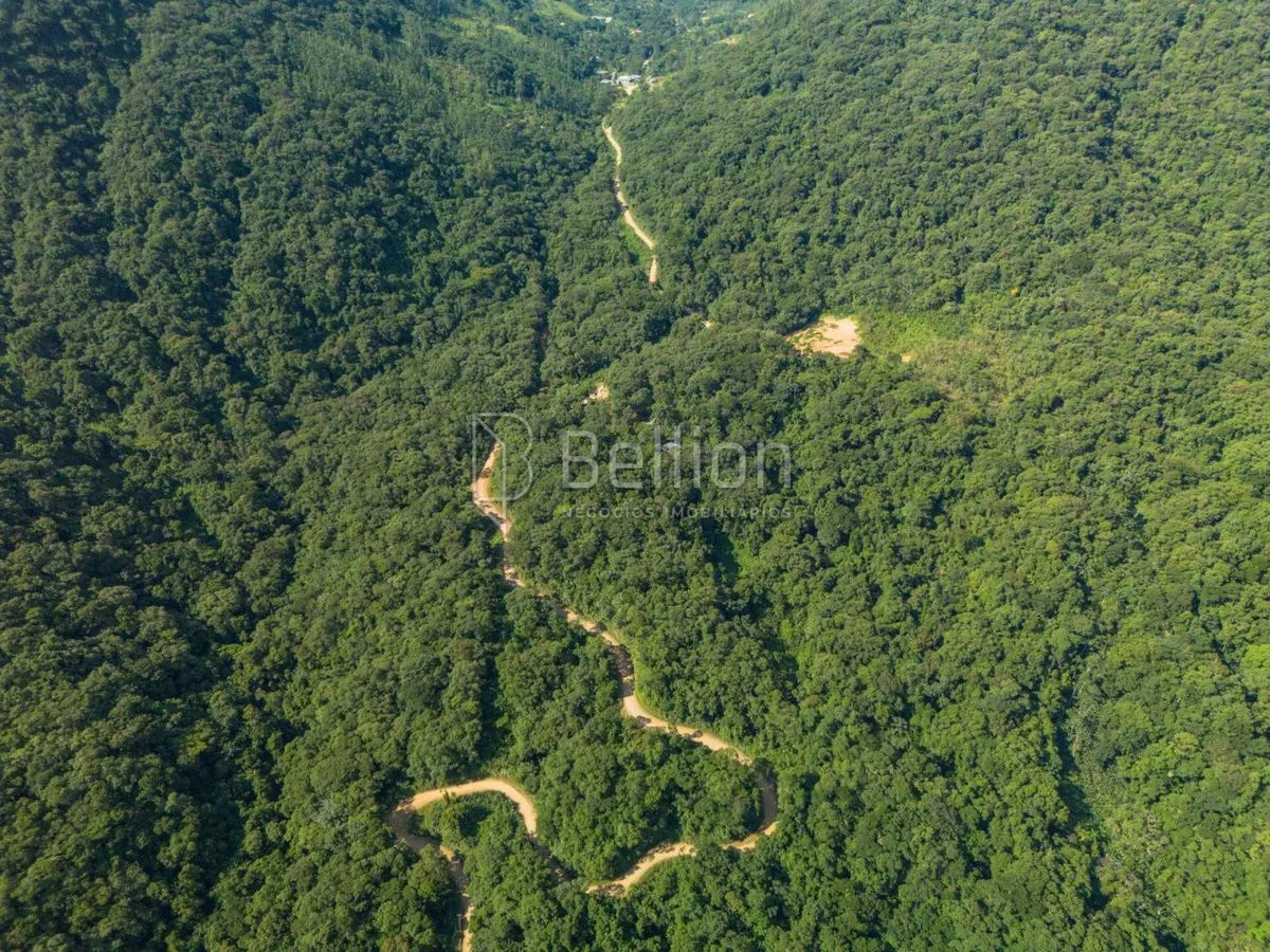 Imagem Terreno à venda em Rio dos Cedros - 45.000 m² com potencial para sítio ou cabanas