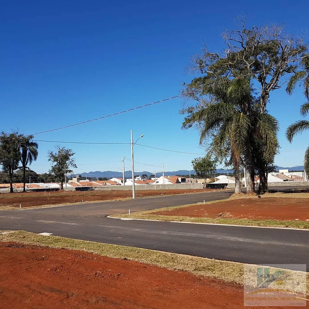 Imagem Lote para Venda em São José dos Pinhais, Campo Largo da Roseira
