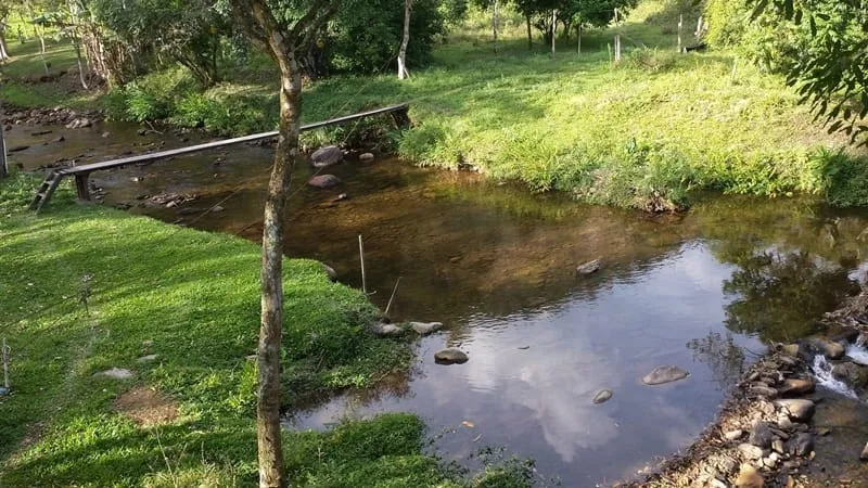 Imagem Chácara à venda 3 Quartos, 4 Vagas, 10000M², Ribeirão Grande, Pindamonhangaba - SP