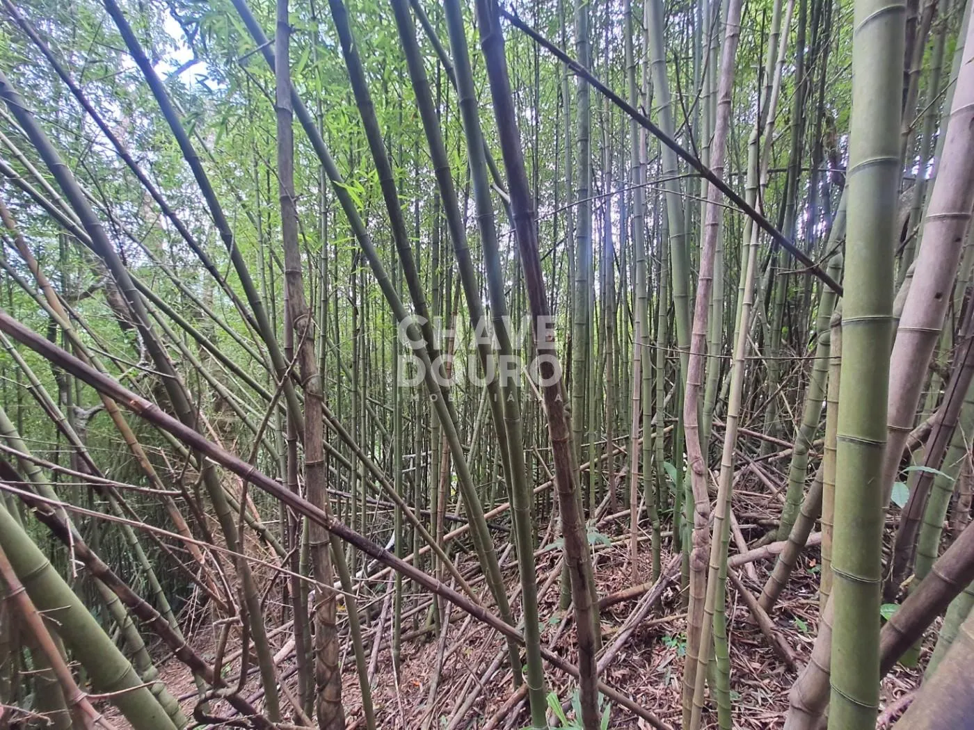 Imagem Terreno de 450m em localização central em bairro residencial
