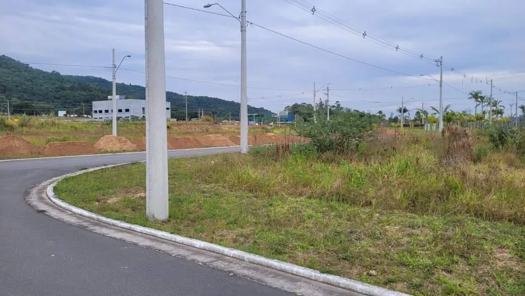 Imagem Terrenos com Viabilidade Multifamiliar - Norte da Ilha