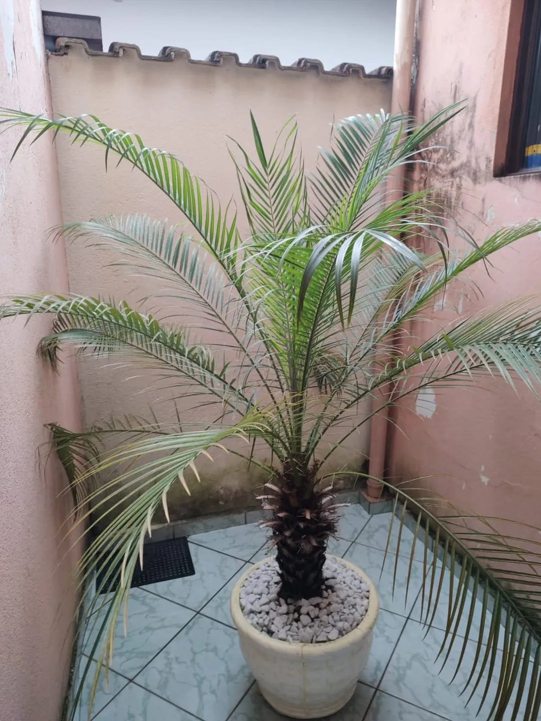Imagem Casa à venda 3 Suites, 2 Vagas, 300M², Crispim, Pindamonhangaba - SP