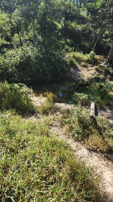 Imagem Vende-se excelente terreno em Bonfim/MG com Área total de 23 hectares, toda formada