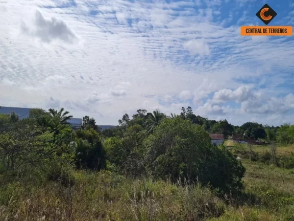 Foto do imóvel ÁREA - VIA PARAFUSO