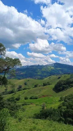 Imagem Terreno à Venda