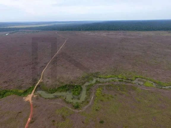 Imagem CASAL IMÓVEIS VENDE FAZENDA EM PARAGOMINAS 700 ALQUEIRES