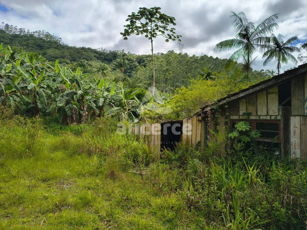 Imagem Sítio à venda com , 260.084m² em Área Rural de Biguaçu Biguaçu