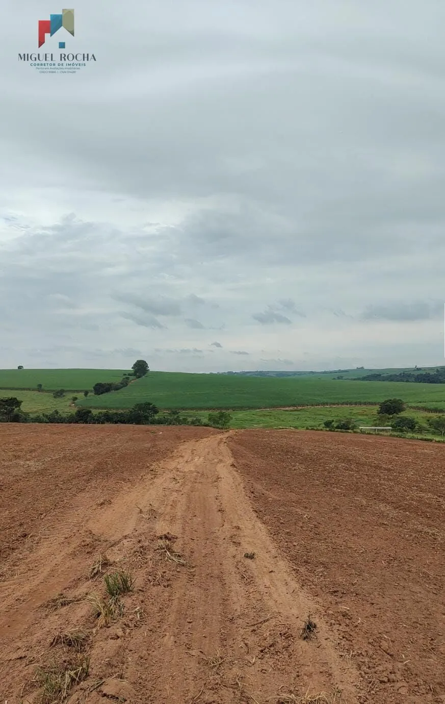 Imagem Fazenda Região de Tiête SP