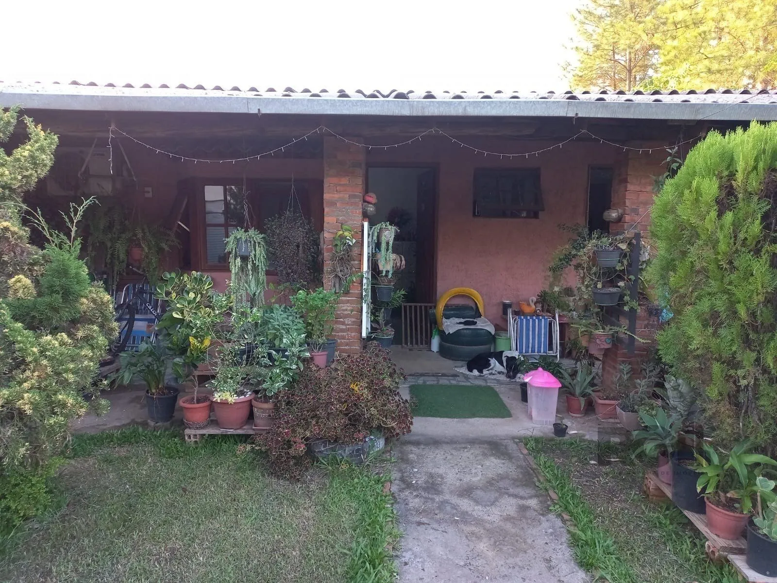 Sítio com 1000m² em Belém Novo