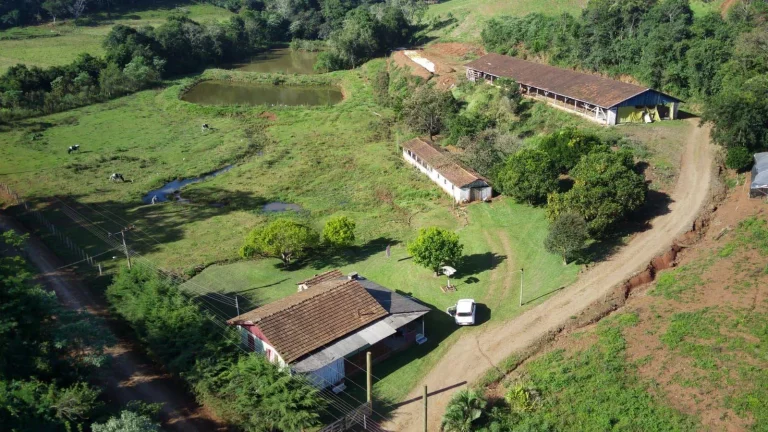 Imagem Área Agrícola para Venda em Concórdia, Interior