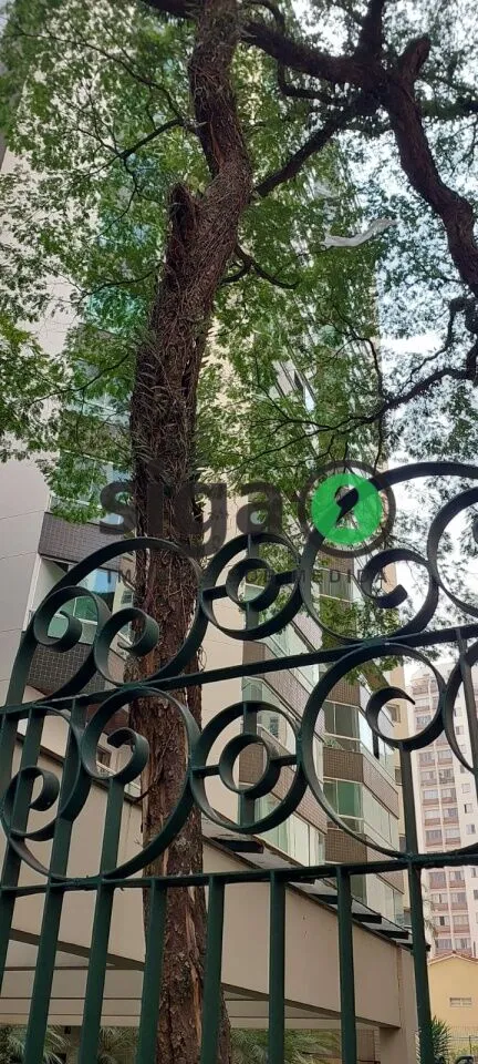 Imagem CAMPO BELO: 191/M² - 3 SUÍTES - 3 VAGAS