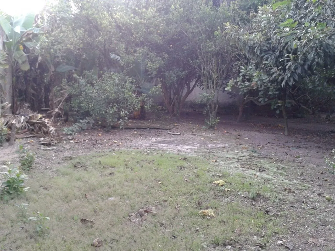 Imagem Terreno à venda 885.51M², Loteamento Residencial Andrade, Pindamonhangaba - SP