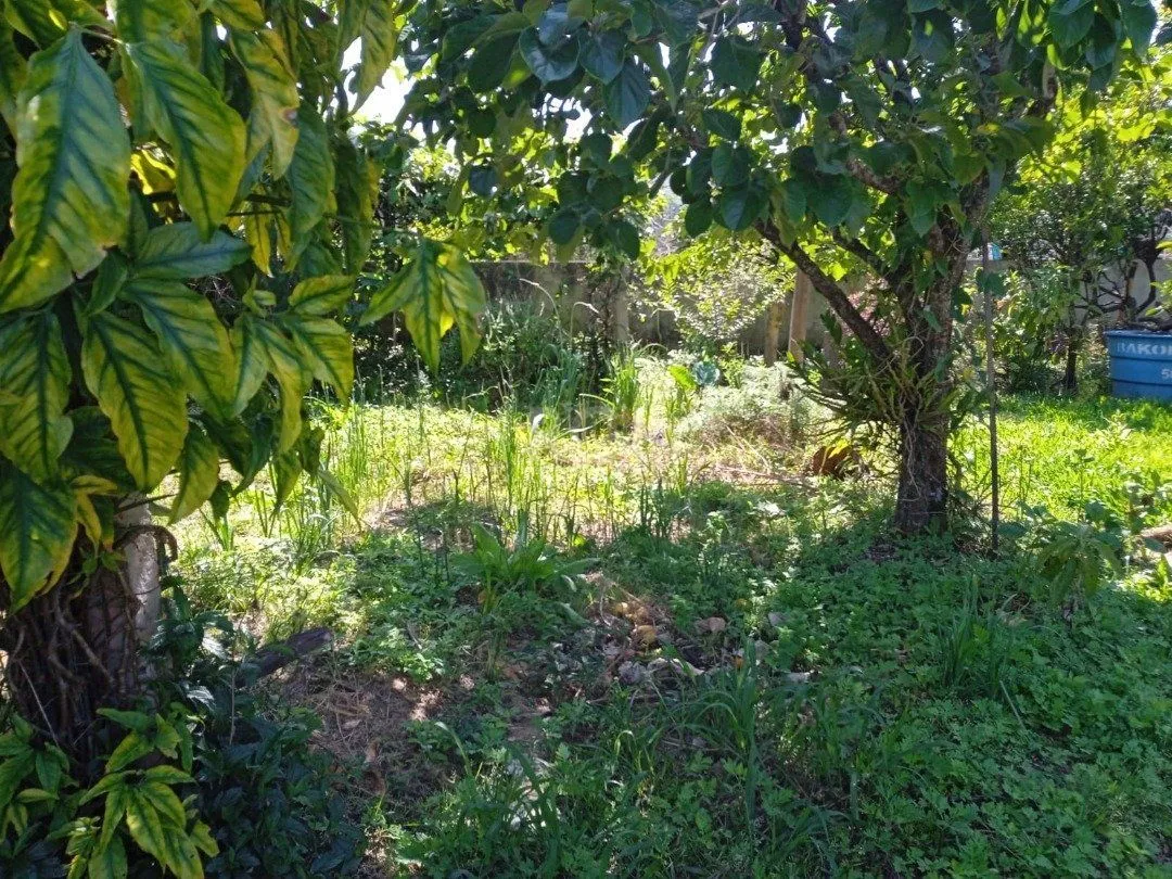 Imagem Casa para Venda - 72m², 2 dormitórios, sendo 2 suites, Lageado