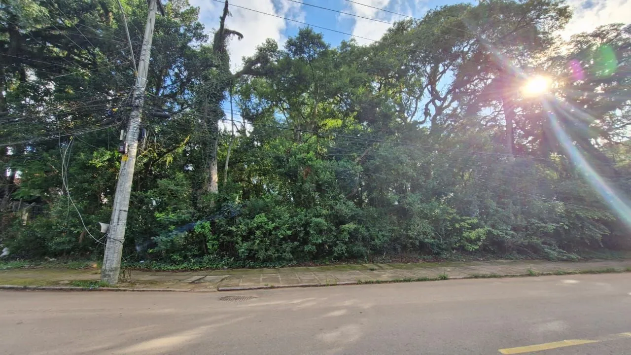 Imagem Terreno grande no bairro teresopolis