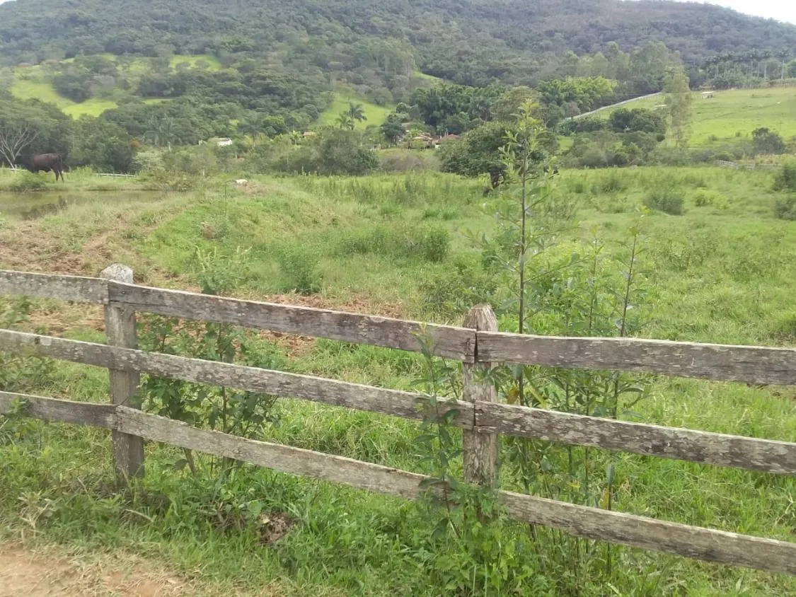 Imagem Terreno Espetacular à Venda em Carmópolis de Minas /MG 42 hectares de terra