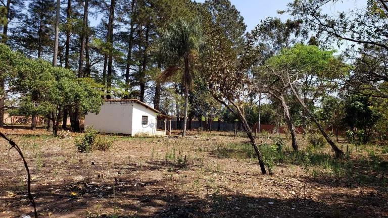 Imagem Terreno Padrão