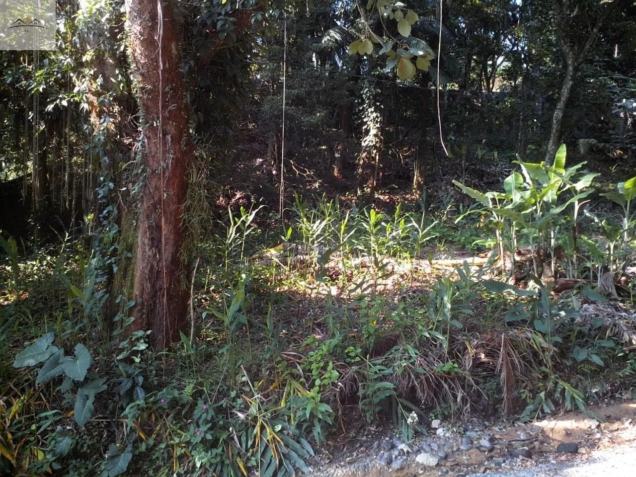 Imagem TERRENO RESIDENCIAL em Diadema - São Paulo, Eldorado