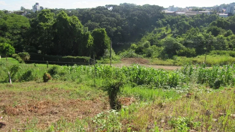 Foto do imóvel Terreno para Venda em Concórdia, Jardim em Loteamento D Italia