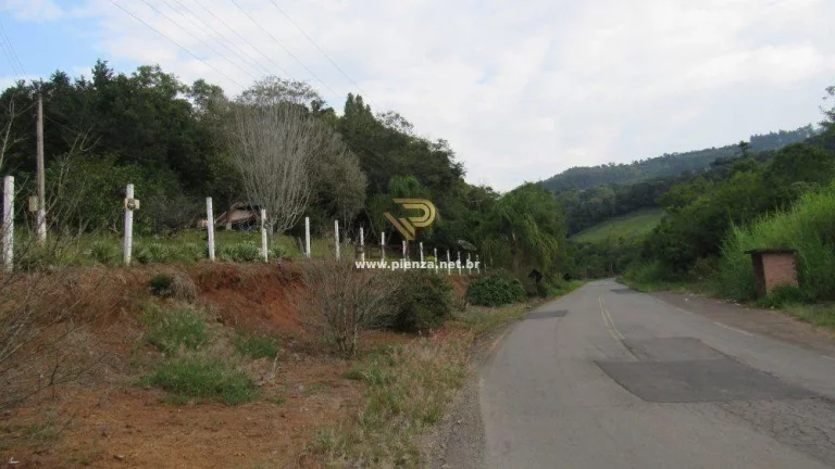 Imagem Sítio / Chácara para Venda em Alto Bela Vista, Rural