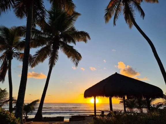 Imagem Paraíso na Bombaça