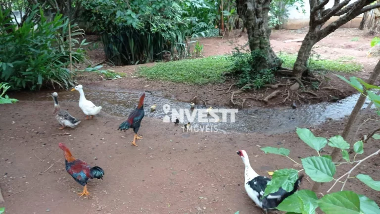 Imagem Chácara à venda no Centro - Hidrolândia/GO
