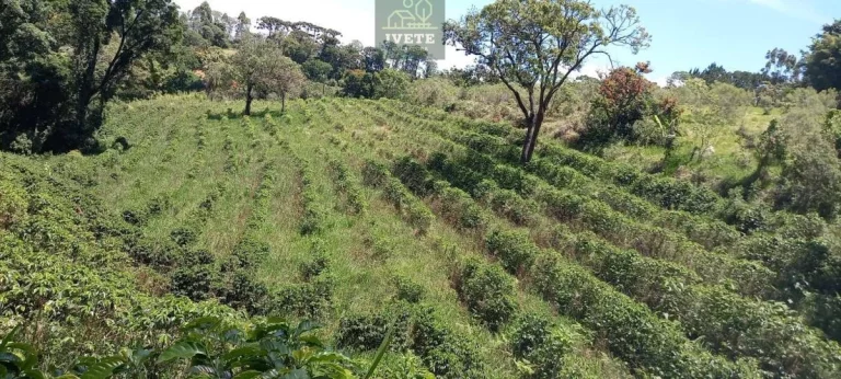 Foto do imóvel Terreno no Bairro da Lagoa - Oportunidade Única!