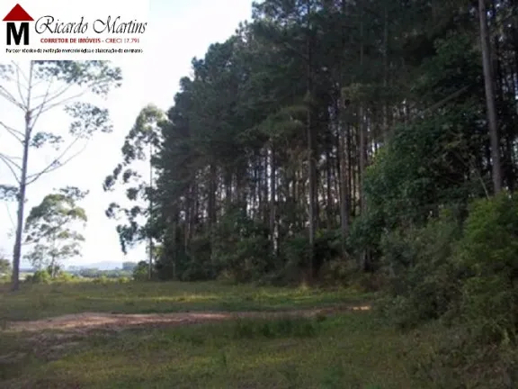 Terreno à Venda, 70.000 m² em Morro Chato - Turvo