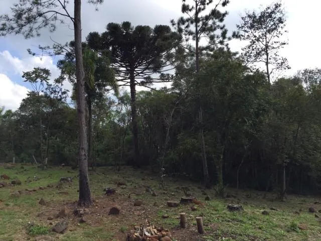 Imagem Chácara para Venda em Taquara / RS no bairro Santa Cruz da Concórdia