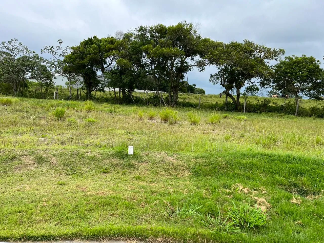 Imagem Lote à venda, 343,59m2