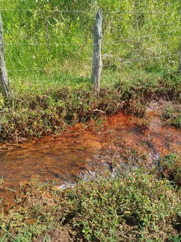 Imagem Excelente sítio a venda em Brumadinho /MG - aproximadamente 6 hectares
